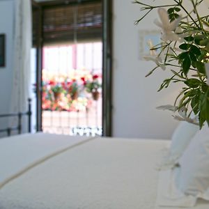 Habitación Doble Estándar